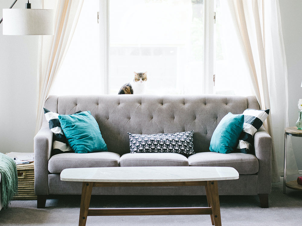 The Sustainable Furniture Trend is Here to Stay